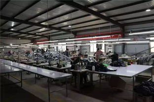 農村人居環境綜合整治結碩果